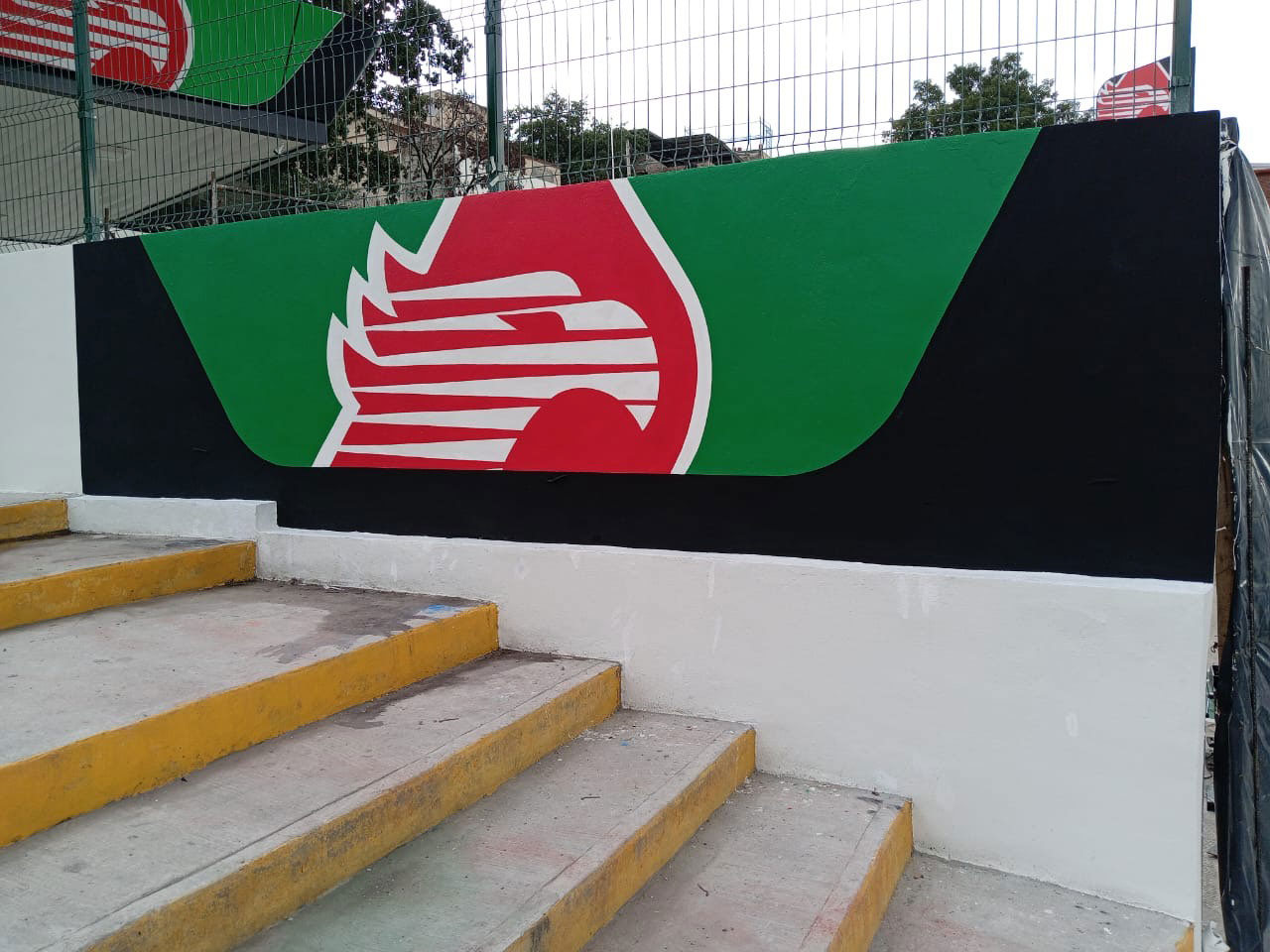 Somos Rotulación CDMX. Brindamos servicio de rotulación de autos, logotipos en vinil y señalética. Damos atención inmediata.